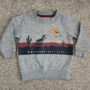 Wrangler Coyote In The Desert Sweater
